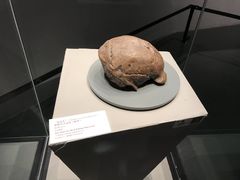 -北京周口店北京人遗址博物馆