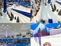 -长沙湘江冰雪世界