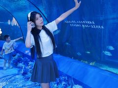 -重庆欢乐海底世界