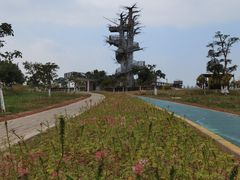 -芒洲湿地公园