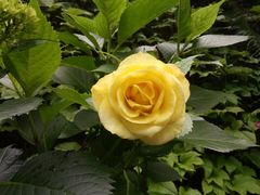 -亦缘居私家别院