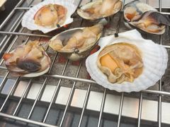-震海贝烤贝·民俗特色店(延吉总店)