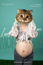 -韵纪亲子儿童摄影·孕妈照