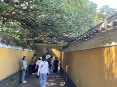 -普陀山慧济禅寺