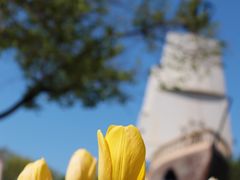 -长春公园(普阳街道)