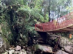 -安吉龙王山峡谷漂流
