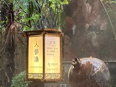 -长安先导国际创新人才交流中心