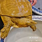 魔都降温吃什么？记住这个位置