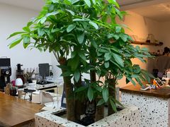 -Line 咖啡(石厦花园店)