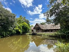 -大象粑粑造纸公园