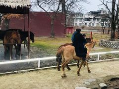 -西安秦岭野生动物园