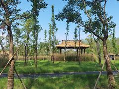 -溱湖国家湿地公园