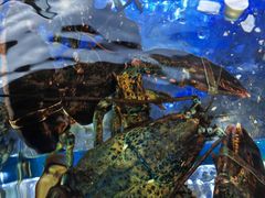 -日照大牌檔•小船海鲜(万平口店)