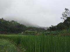 -天台山赤城山景区