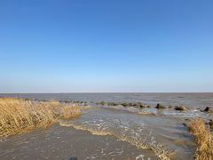 -南汇嘴观海公园
