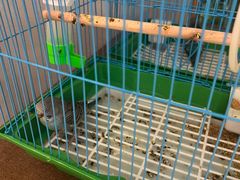 -义乌之心城市生活广场