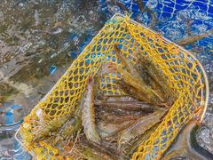 -双月饭店·20年老字号(新村店)