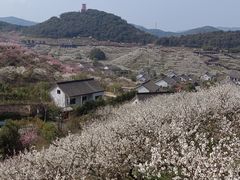 -原乡小镇度假乐园