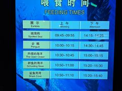 -上海海洋水族馆