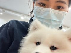 -Let's go狗咖·猫咖·奶狗·桌游(春熙路IFS店)