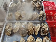 -蚝专家(北滘店)