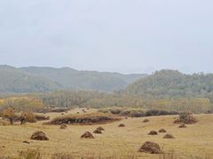 -塞罕坝国家级自然保护区