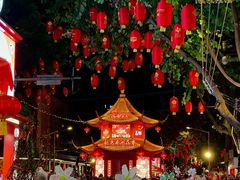 -越秀西湖花市(广州城市广场花卉店)