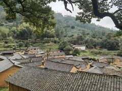 -杨家堂村