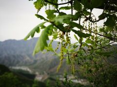-野三坡百草畔景区