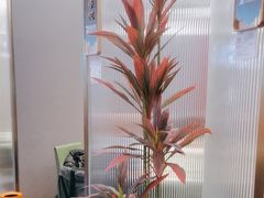 -7号院家宴.烧鸽子(门头沟店)