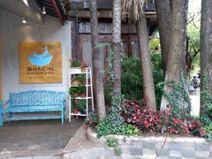 -猫的天空之城概念书店(束河店)