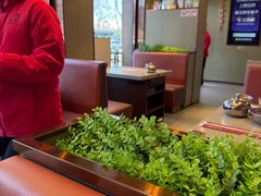 -蝎王府羊蝎子(虎坊桥总店)