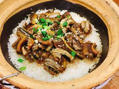 -红星光发煲仔饭(大石街店)