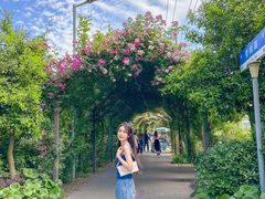 -上海长兴岛郊野公园