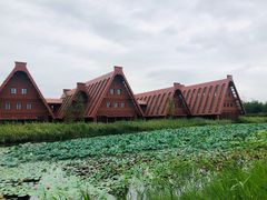 -广富林郊野公园