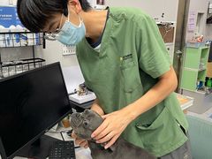 -瑞鹏宠物医院·微创内窥镜·骨外科·牙科(翠竹分院)