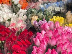 -循礼门鲜花花市(武汉循礼门店)