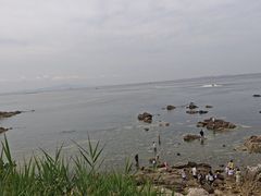 -养马岛旅游度假区
