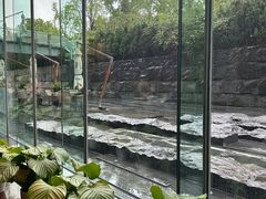 -外滩悦榕庄·海怡西餐厅