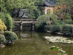 -秋霞圃