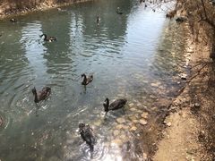 -长白岛森林公园