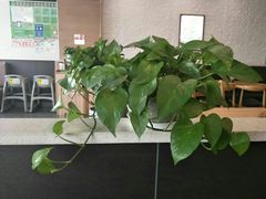 -李先生牛肉面大王(莱芜信誉楼店)