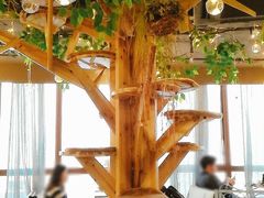 大堂-共舞时光猫咖·狗咖(新街口店)
