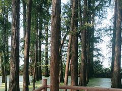 -东湖落雁景区
