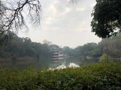 -雀儿山公园