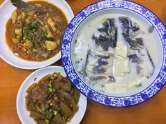 -全乐鱼馆·淳牌有机鱼直营店