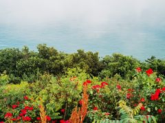 -棒棰岛宾馆景区