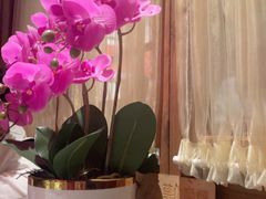 -小吊梨汤·北京菜·烤鸭(王府井银泰in88店)