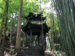 -凤栖山