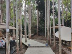 大堂-桉树林A coffee 森林餐厅(三圣乡店)